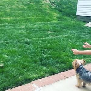 Meet your Posher, Randy